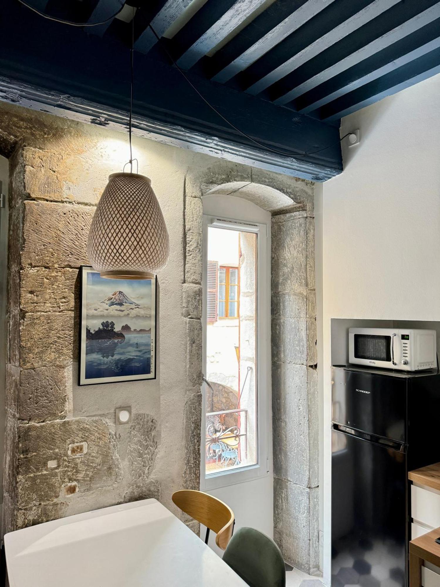 Le Bucolique - Cœur Vieille-ville d'Annecy Extérieur photo